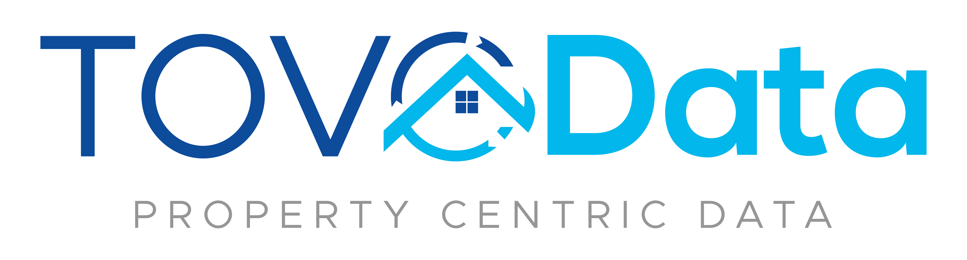 Tovo Data Logo